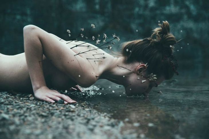 bleeblu-la-faune-et-la-flore-2